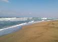 Spiagge di Livorno: tradizionale pulizia lunedì 15 giugno
