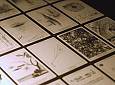 On line la lettura delle Carte da Aracnomanzia di Tomás Saraceno