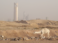 Middle East Now: dal 6 all'11 ottobre 2020