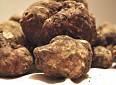 Forcoli: Sagra del Tartufo e premio a Dainelli