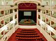 Il Maestro Andrea Vitello al Teatro Niccolini