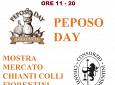 Mostra Mercato del Chianti dei Colli Fiorentini: