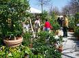 A Sesto Fiorentino arriva Fiorinfiera