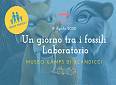 Un Giorno Tra i Fossili: Laboratorio per piccoli paleontologi - Museo Geopaleontologico GAMPS