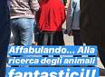 Giro città a piedi alla scoperta degli Animali fiorentini - Centro storico