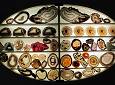 Museo di Mineralogia e Litologia - Museo di Storia Naturale - Sezione di Mineralogia e Litologia
