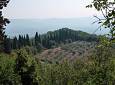 Trekk d’estate tra faggi e borghi del Parco Giogo - Badia di Moscheta