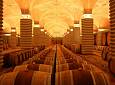 In Wine The Truth: cinema d'autore, racconti di architettura e vino - Tenuta Rocca di Frassinello