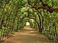 Viste guidate gratuite nei giardini di Firenze grazie al progetto Amir - Giardino di Boboli