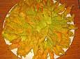 Sagra del fiore di zucca fritto - Circolo SOMS San Michele a Torri