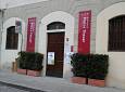 Animalia 2020 - Biblioteca Pietro Thouar - Biblioteca Pietro Thouar