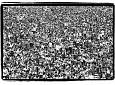 Woodstock e gli Altri: mostra fotografica - Spazio Espositivo Carlo Azeglio Ciampi