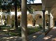 L'Africa che fa parlare di sè - Biblioteca delle Oblate - Biblioteca delle Oblate
