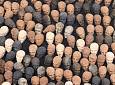 Appuntamenti di MAD Murate Art District al V Black History Month Florence - MAD, Murate Art District