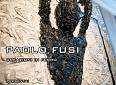 Iron and Silicon: la mostra di Paolo Fusi - Biblioteca Comunale