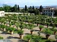 Visita alla Villa di Castello - Villa Medicea di Castello
