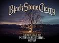 Pistoia Blues Festival 2019: Black Stone Cherry - Pistoia