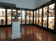 Museo di Antropologia ed Etnologia - Museo di Storia Naturale - Sezione di Antropologia ed Etnologia