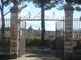 Agosto al Giardino dell'orticoltura - Giardino dell'Orticoltura