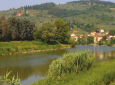 Tornano le escursioni, gratuite, tra natura e cultura a Fiesole - Museo civico Archeologico di Fiesole