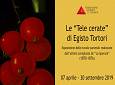 Le tele cerate di Egisto Tortoni - Museo FirST - Fondazione Scienza e Tecnica Firenze