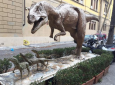 Con il Corriere Fiorentino visita ai Depositi di Paleontologia - Palazzo Budini Gattai