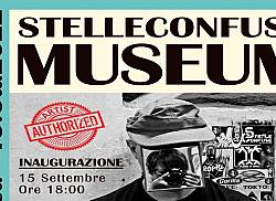 Stelleconfuse Museum