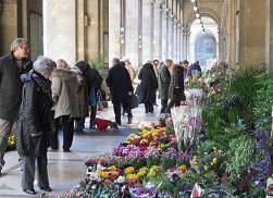 Mercato di fiori e piante di via Pellicceria