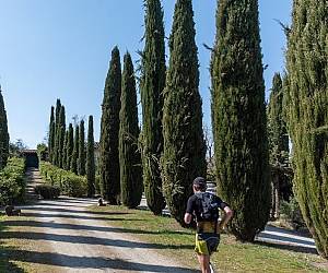 Evento Ultra Trail Chianti Castles e Chianti Walk and Taste - Dintorni di Firenze