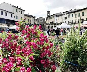 Evento Greve in fiore - Greve in Chianti 