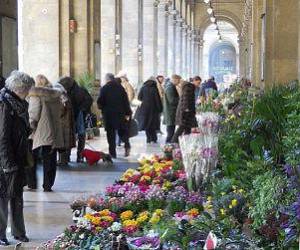 Evento Mercato di fiori e piante di via Pellicceria - Piazza della Repubblica