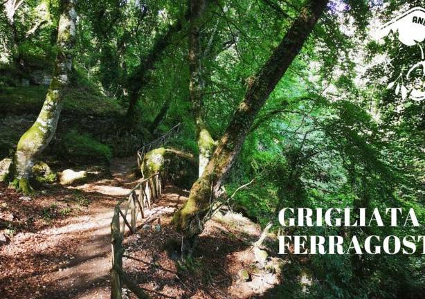 Evento Trekking nella Riserva Naturale Pietraporciana con grigliata di Ferragosto - Andare a Zonzo Trekking ed Escursioni