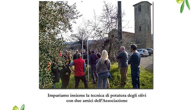 Evento Dimostrazione di potatura dell'olivo Casa della Civiltà Contadina di Gaville