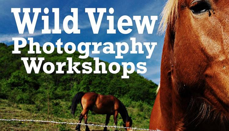 Evento Wild View Photography Workshop in Alto Mugello Rifugio Alpino i Diacci