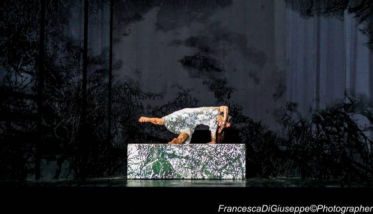 Evento Spettacolo di Danza: Inverno Parc Ex Scuderie Cascine Firenze
