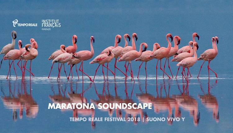 Evento Tempo Reale Festival 2018, Maratona Soundscape Limonaia di Villa Strozzi