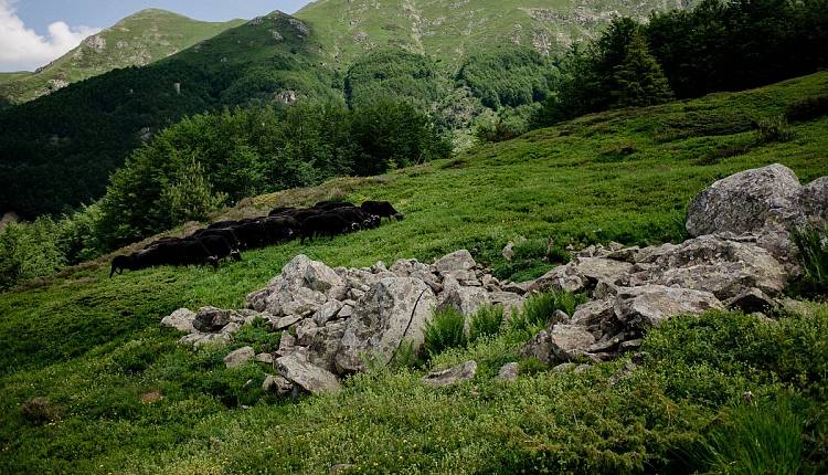 Evento Escursione guida al Libro Aperto Andare a Zonzo Trekking ed Escursioni