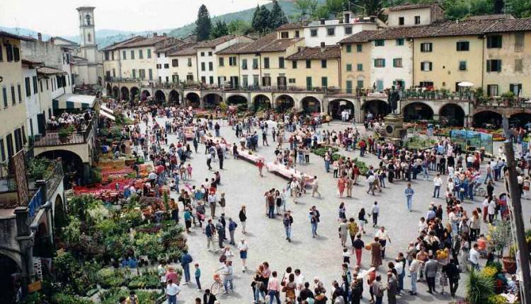 Evento Cantine aperte - Apertura al pubblico delle aziende vinicole Greve in Chianti 