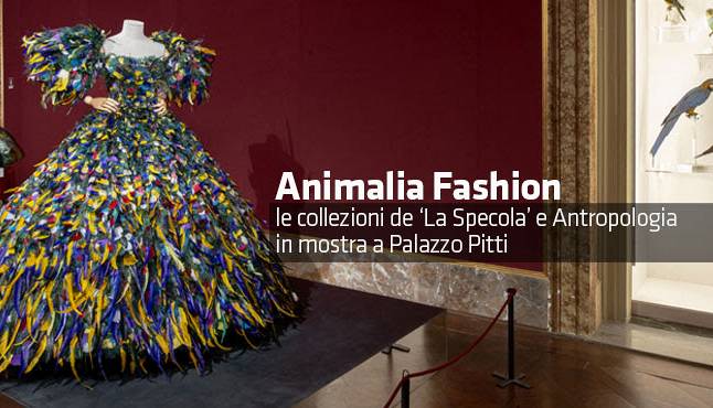 Evento Le meraviglie del mondo animale incontrano l’alta moda Palazzo Pitti