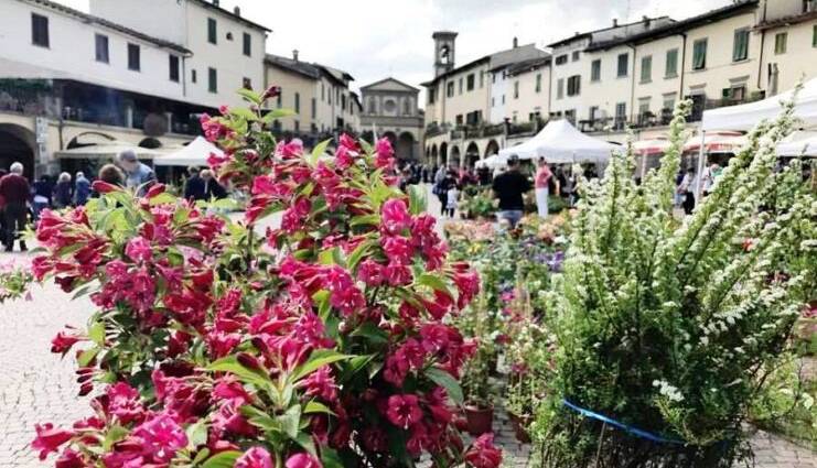 Evento Greve in fiore Greve in Chianti 