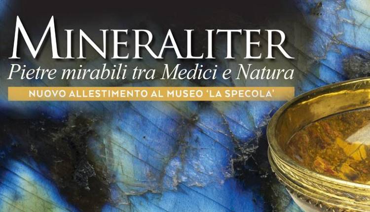 Evento Mineraliter: pietre mirabili tra Medici e natura Museo della Specola