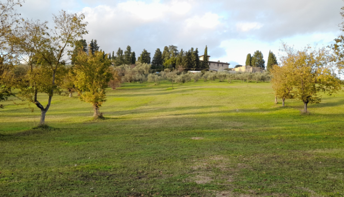 Evento Il suono della valle Dintorni di Firenze