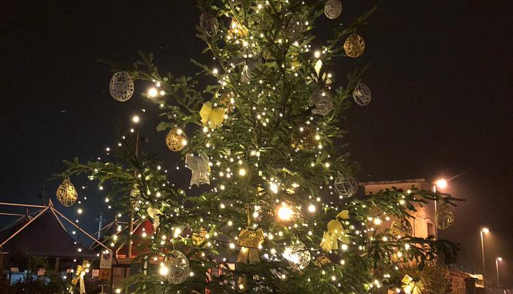 Evento Accensione degli alberi di Natale nel Q4 Quartiere Isolotto
