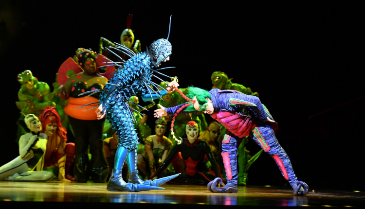 Evento Cirque du Soleil: Ovo Nelson Mandela Forum