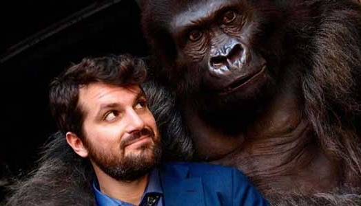 Evento Attenti al gorilla e  Capri Revolution CineMonicelli