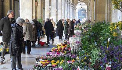 Evento Mercato di fiori e piante di via Pellicceria Piazza della Repubblica