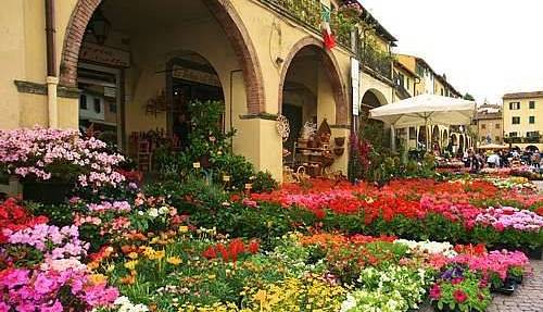 Evento 45ª Mostra mercato piante e fiori Greve in Chianti 
