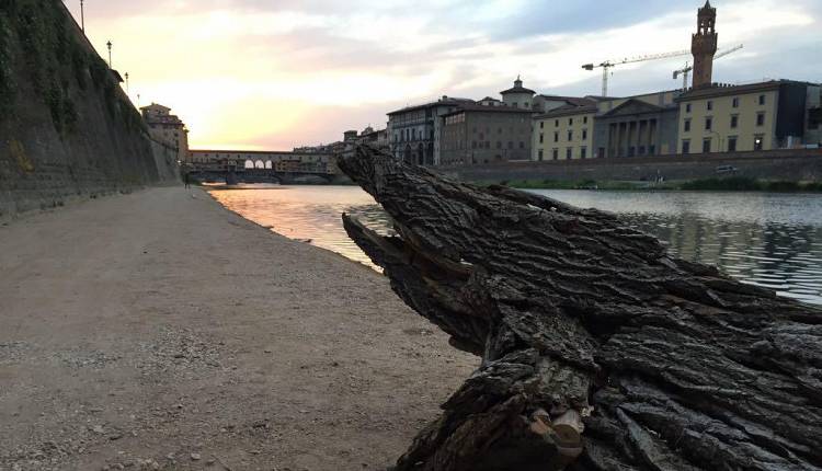 Evento Il camminamento sull’Arno tra gli animali fantastici di Sedicente Moradi Piazza Poggi 