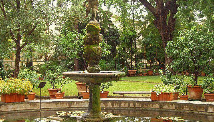 Evento Passeggiata nei giardini storici fiorentini Orto Botanico - Giardino dei Semplici