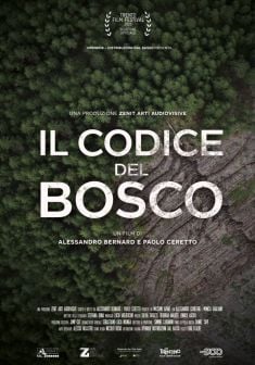 Locabdina film: Il Codice del Bosco